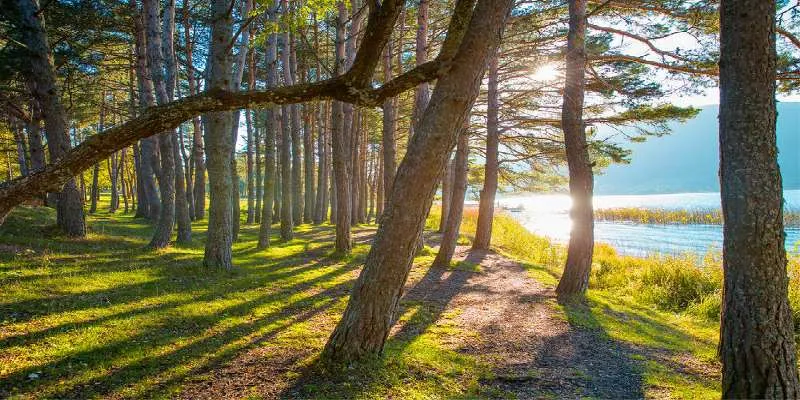 صور من جولة شيلا وأغوا مع (الصور) مغامرة مثيرة لعام 2024 