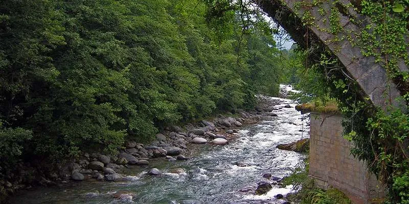 صور من رحلة يلوا من اسطنبول - جولة بالعبارة البحرية غنية بالنشاطات